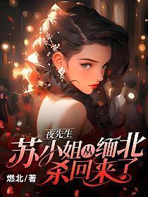 苏小姐从缅北杀回来了全本