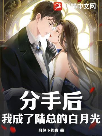 分手后我成了陆总的白月光大结局