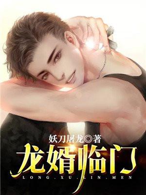 龙婿免费