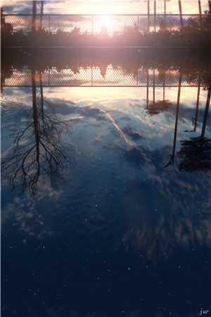 豪婚难逃霍医生蓄谋已久