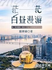 茫茫白昼漫游简介