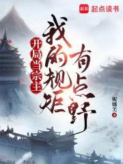 我的规矩有点野