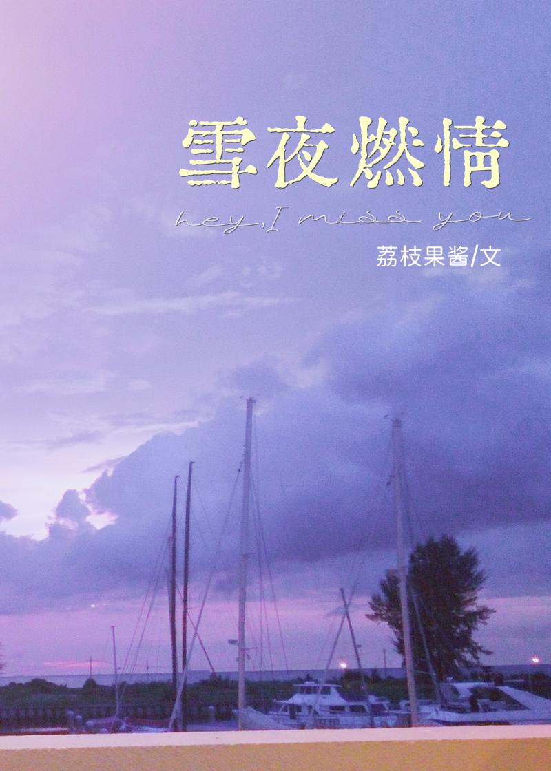 雪夜燃情免费全文