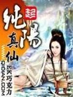 纯阳真仙是什么境界