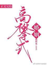 高攀式婚姻全文阅读