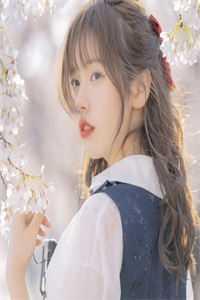 叶无双柳月眉推荐