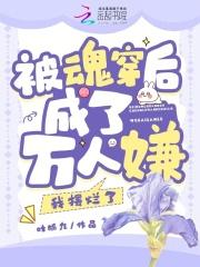 被魂穿了什么意思