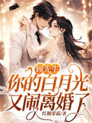 第一章顾先生我不爱你了