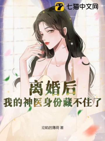 离婚后我的神医身份藏不住了叶凡