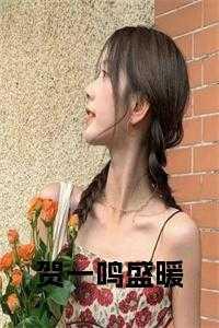 主角叫贺一鸣的重生