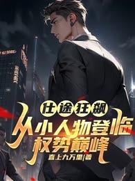 一部叫什么仕途的