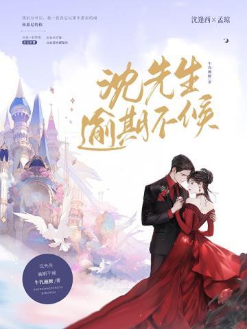 沈先生,逾期不候