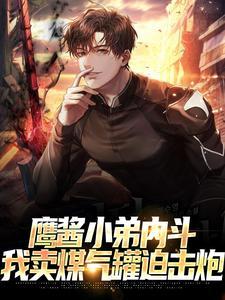 鹰酱小弟内斗,我卖煤气罐迫击炮