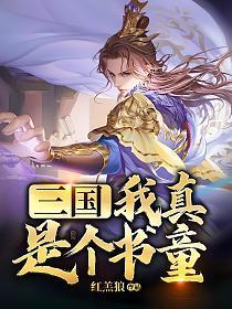 三国:我真是个书童