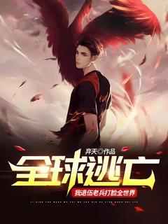 全球逃亡:我退伍老兵打脸全世界