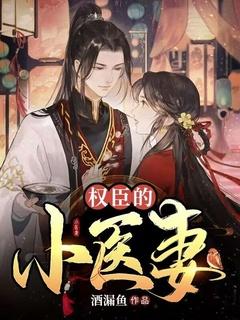 权臣的小医妻