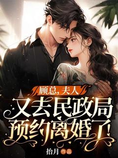 顾总,夫人又去民政局预约离婚了!