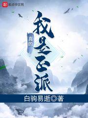 我真的是正派(从山寨NPC到大Boss)