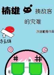 楠雄·揍敌客的灾难