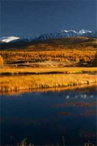 全文阅读穿越暗区档案:卡莫纳病毒泄露