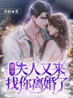 裘少,夫人又来找你离婚了