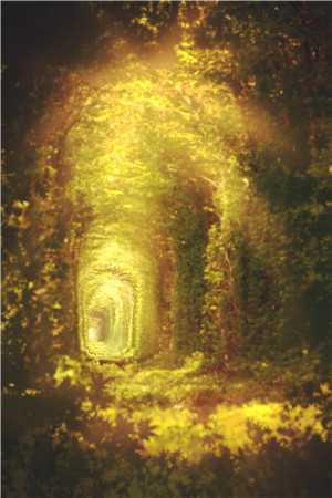 洪荒:刚化形,六圣齐至求我拜师?