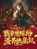 和离当天,我带崽嫁给渣男他皇叔