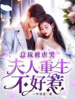 总裁被虐哭,夫人重生不好惹