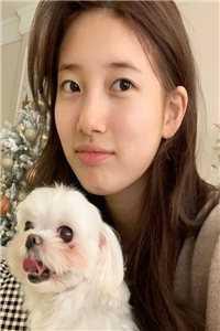 八零军婚,穿书后成了大院白月光完整文集