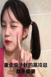 重金求子我的高冷总裁未婚妻小说笔趣阁
