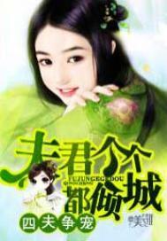 四夫争宠:夫君个个都倾城
