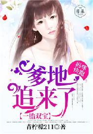 一胎双宝:妈咪快跑,爹地追来了