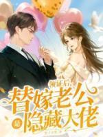 领证后,替嫁老公是隐藏大佬