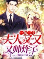 一胎三宝:夫人又又又帅炸了