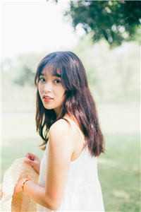 摆烂大佬的穿越日常畅销巨作