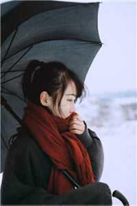 燕张飞畅销书目