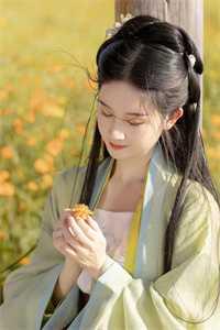 全集小说渣男宠妾灭妻?她二嫁太子