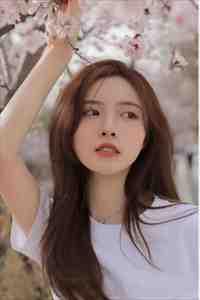 恸哭者战团长全集阅读