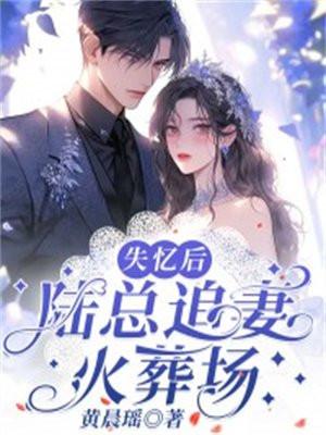 失忆后,陆总追妻火葬场