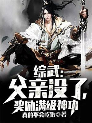 综武:父亲没了,奖励满级神功