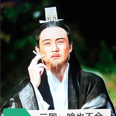 三国:啥也不会的诸葛丞相