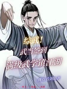 综武，武当签到，满级武学镇江湖