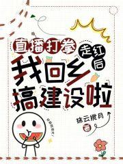 直播打拳走红后,我回乡搞建设啦