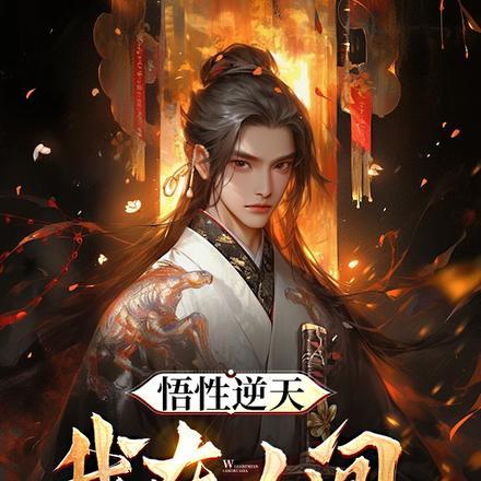 悟性逆天,我在人间创无敌法