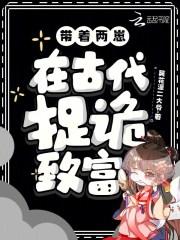 带着两崽,在古代捉诡致富