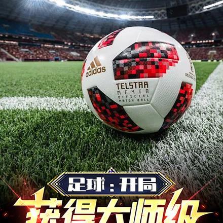 足球:开局获得大师级中场能力