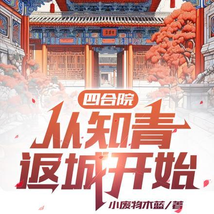 四合院:从知青返城开始