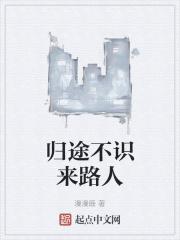 归途不识来路人