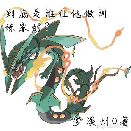 谁让他做训练家的?