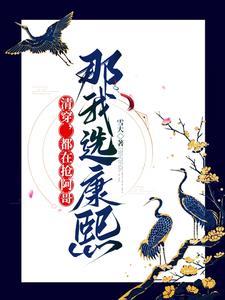 清穿,都在抢阿哥,那我选康熙